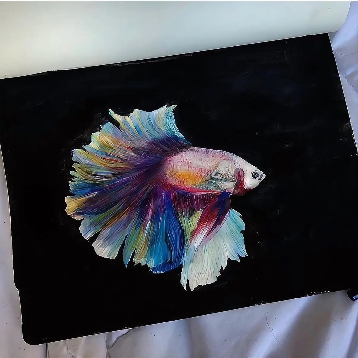 Colorful betta fish painted on black background